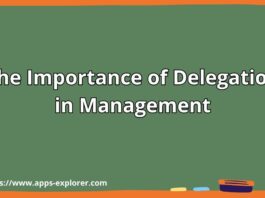 The Importance of Delegation in Management