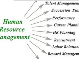 7 Best Practices in Human Resources Development