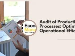 Audit of Production Processes: Optimizing Operational Efficiency