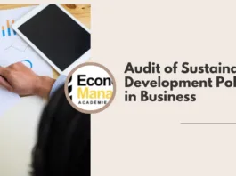 Audit of Sustainable Development Policies in Business