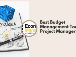 budget management tools for projects