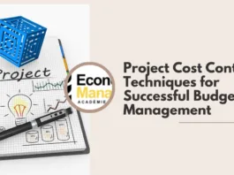 project cost control techniques