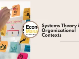 Systems Theory in Organizational Contexts