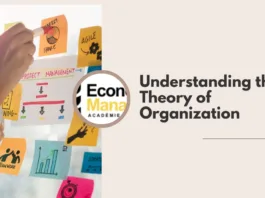 Understanding the Theory of Organization